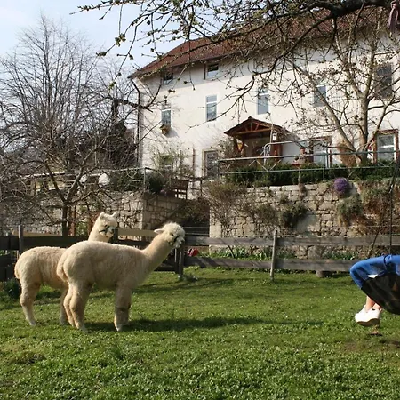 Urlaub Auf Dem Bauernhof, Mit Schlossblick  *